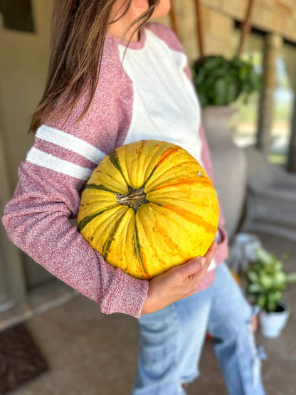 Terry Loop Pullover