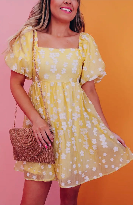 Sunny Floral Jacquard Mini Dress